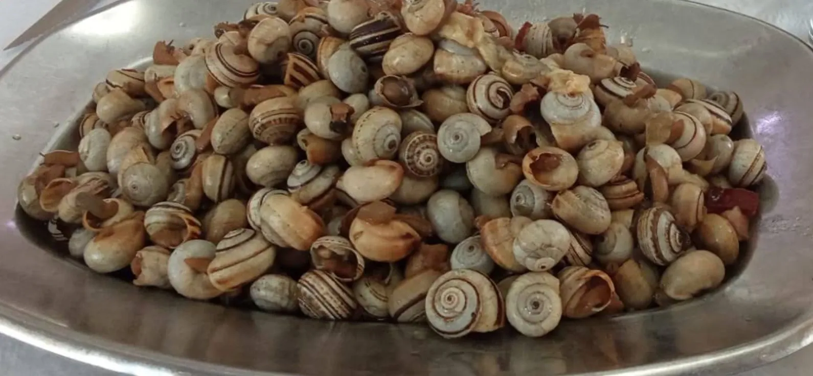 Petiscos — Restaurante Caravela, tasco em Santarém